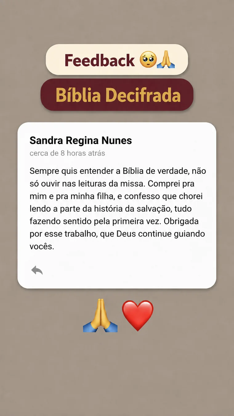 Depoimento escrito de leitora sobre a Bíblia Decifrada